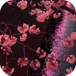 japanese sakura garden android application logo